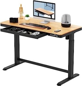 adjustable standing desk3